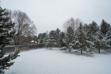 A tranquil backyard is blanketed in fresh snow, with evergreen trees standing tall. A cloudy sky hints at more winter weather in this peaceful rural environment.