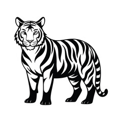 Obraz premium White tiger vector illustration with black stripes on a white background, a wild feline mammal