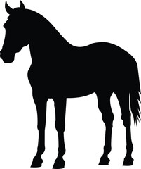 horse silhouette vector ilustration