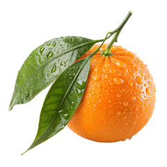 Fresh, ripe citrus fruits tangerine and orange with green leaves are isolated on white, offering a healthy, juicy, and sweet natural food