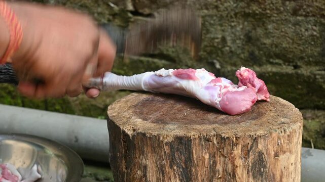 Chopping goat meat on chopping board. Fresh raw or uncooked goats mutton cutting from Traditional iron tool in Indian village life. chopping goat meat into small pieces.

