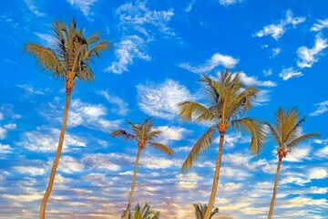 Palm trees against vibrant blue sky with clouds