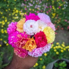 Close-up shot of a vibrant bouquet of colorful flowers