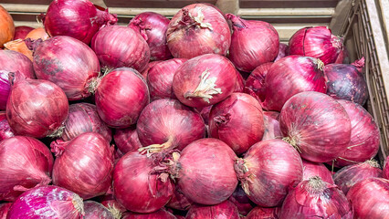 Ripe crimson onions stack like earthy jewels, celebrating autumn harvest, Diwali's vibrant feasts,...