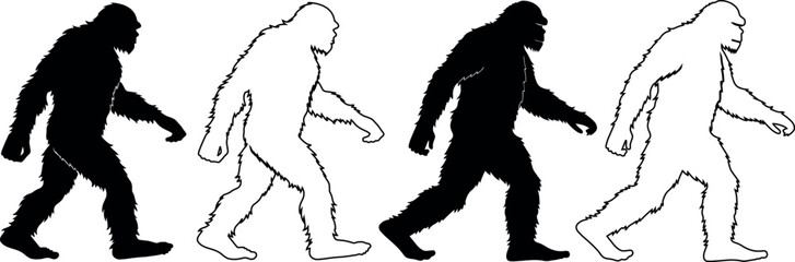  Silhouettes and outlines of walking ape evolution concept, black and white sketch  vector representing evolution from ape to human transition