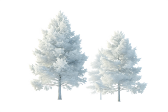 snow covered trees isolated on white background PNG 