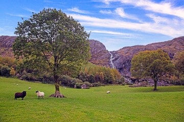 Lush valley with waterfall and rocky hills