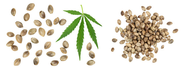 Hemp seeds isolated on white background with full depth of field. Top view. Flat lay