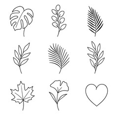 Fototapeta premium Line art illustrations of plants and leaves in minimalist style, decorative elements for social branding