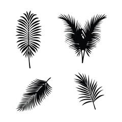 Obraz premium palm leaves symbol, black and white palm tree leaf silhouette illustration.