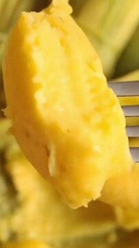 Mobile Video of a fork picking up a piece of pamonha, a Brazilian dessert made from corn, typical of June festivals