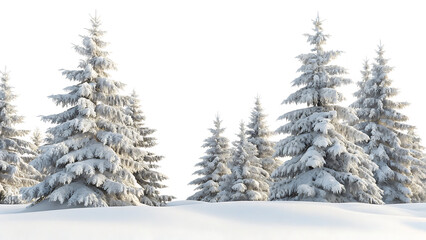 Naklejka premium Winter landscape with snow-covered fir trees in the forest isolated on white background PNG 