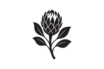 Protea flower silhouette vector art illustration on white background