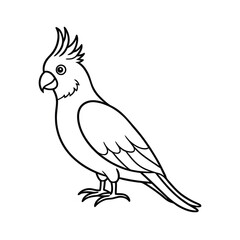 Obraz premium cockatiel outline line art