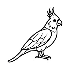 Fototapeta premium cockatiel outline line art