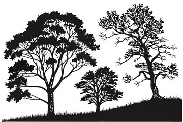 Obraz premium Bloom & Breeze