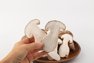 fresh pine mushrooms isolated on white background.