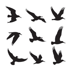 Obraz premium Silhouette of an albatross vector set illustration.