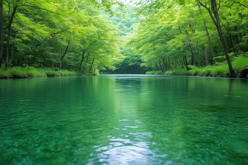 Obraz premium slow river with clear transparent water in a wooded valley