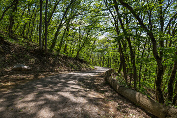 The slope of mount Mashuk, Stavropol Krai, Russia
