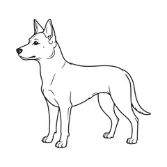 Fototapeta premium Zoe dog line art icon, vector illustration