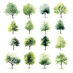 Fototapeta premium Sixteen watercolor trees isolated on transparent background