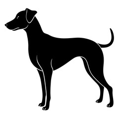 silhouette of a dog vector illustration on white background