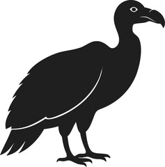 Fototapeta premium Black vulture silhouette bird scavenger wildlife nature isolated simple