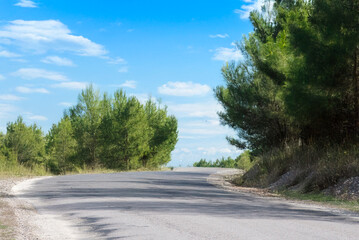 A curving rural road surrounded by green pine trees under a bright blue sky with scattered clouds, creating a peaceful, sunny atmosphere.