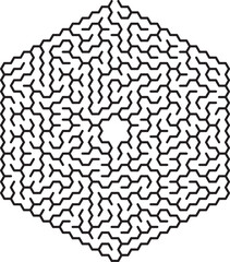 Complex Hexagonal Maze Pattern Geometric Design Black White Puzzle
