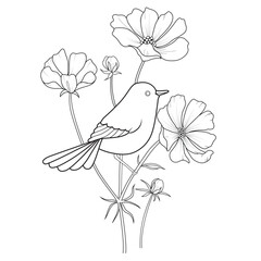 Bird and Cosmos Flowers Line Art