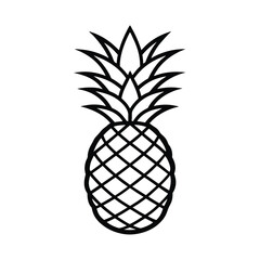 vector illustration of pineapple