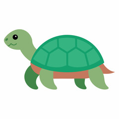 Colorful turtle icon on white background.