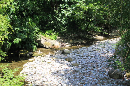 rocky bottom of a dry river bed in the mountains