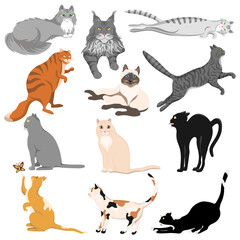 A collection of cute cats of different colors and breeds, isolated on a white background.Vector set of pets for textiles, postcards.