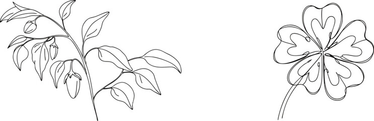 Elegant line art illustration featuring plant sprig and four-leaf clover on white background