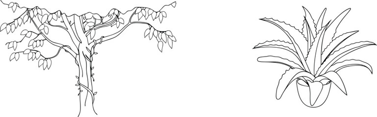 Simple line art illustration featuring tree and aloe vera plant in black and white