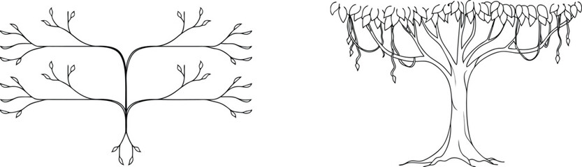 Obraz premium Trees Vector Illustration Set, Botanical Drawings, Woodland Elements