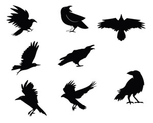 Eight silhouettes of birds in various poses, including some in flight and others perched. 
The birds are depicted in solid black against a white background.