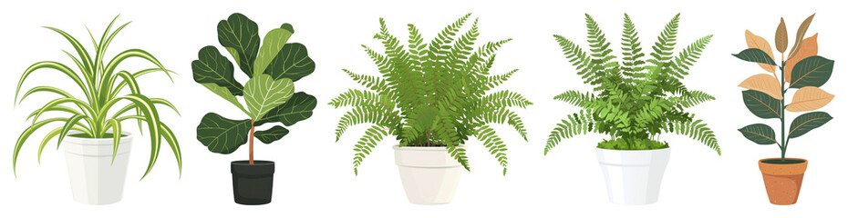 PNG Five potted plants in various shapes and colors element set on transparent background.