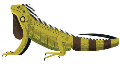 Fototapeta premium A cute green gecko isolated on a white background, a small wild reptile