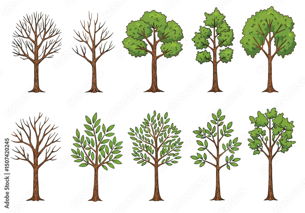 Poster set of tree and leaf collection hand drawn flat design vector element. botanical set of bare trees a