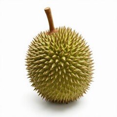 Fresh whole durian showing characteristic spiky shell and natural texture

