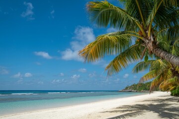 Obraz premium Serene beach getaway with swaying palms under a bright blue sky on a sunny day
