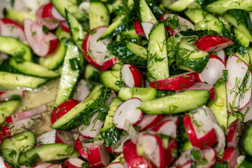 Spring greens salad with sliced cucumbers and radishes