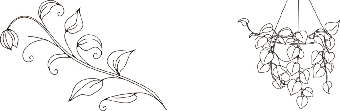 Minimalist black and white botanical line art featuring hanging plants and branches