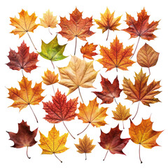 autumn leaves seamless pattern