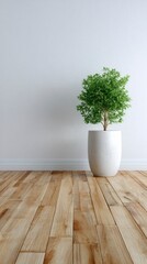A green leafy plant stands in a white pot on a hardwood floor against a white wall