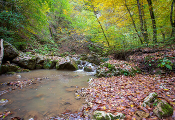 an autumn sunny day, a nature park, a walk along the riverbank with an overview of the area