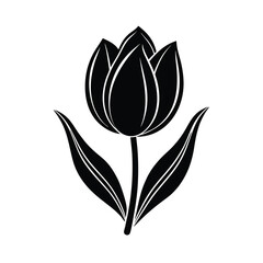 tulip flower vector